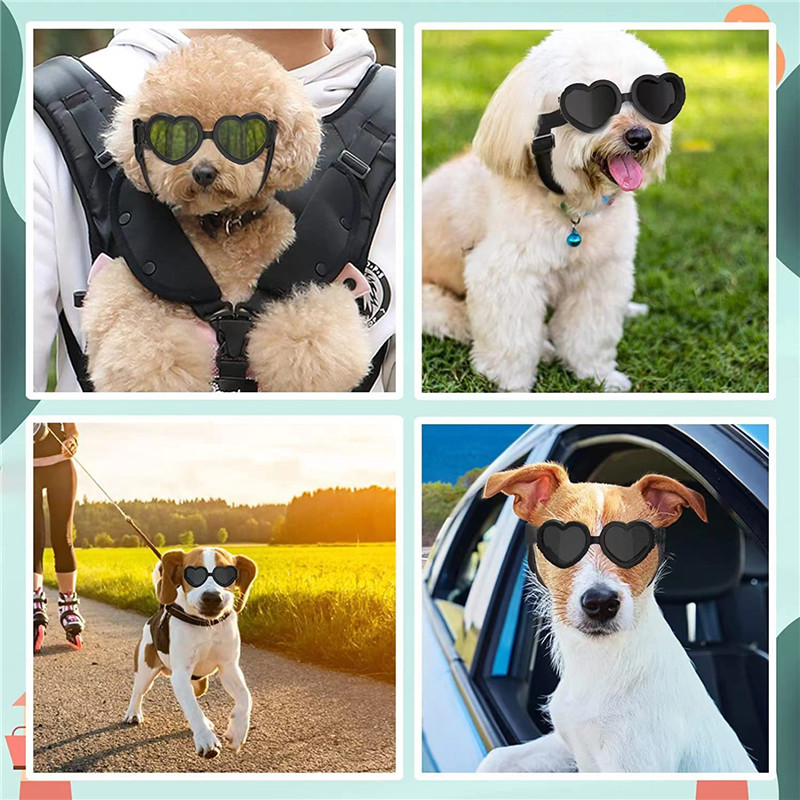 1 PC Heart-shaped Small Dog Su - Sunglass Retainer Cord 리뷰 및 가격